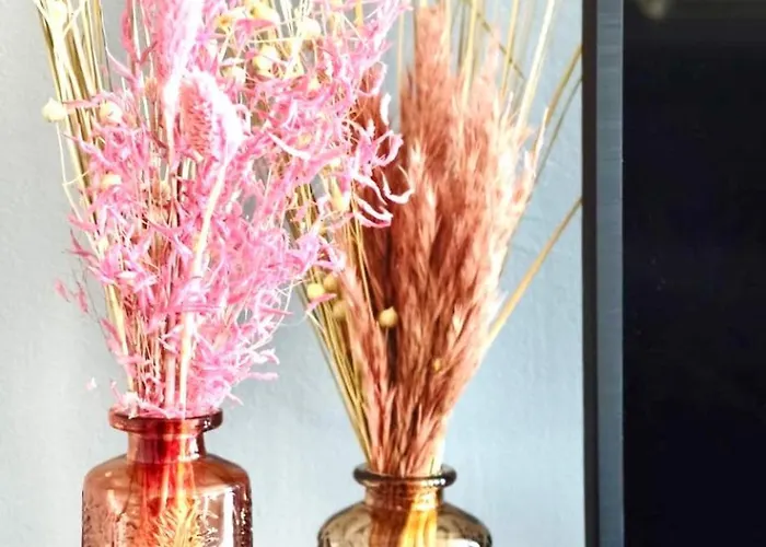 아파트 Cappuccino 레사